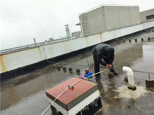 臺風4_副本.jpg 臺風4_副本.jpg