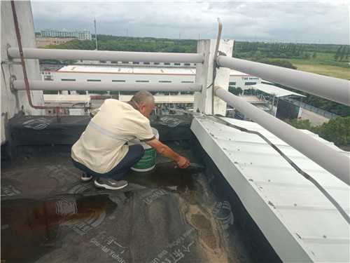 臺風7_副本.jpg 臺風7_副本.jpg